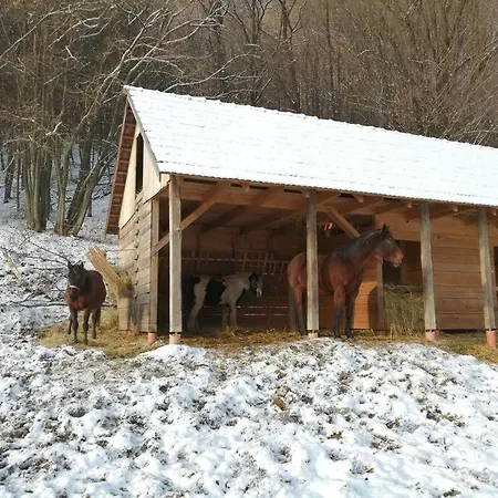 Oddychovy Pobyt Na Rodinnej Farme Matiaska Exterior photo