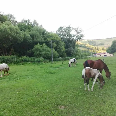 Oddychovy Pobyt Na Rodinnej Farme Matiaska Exterior photo