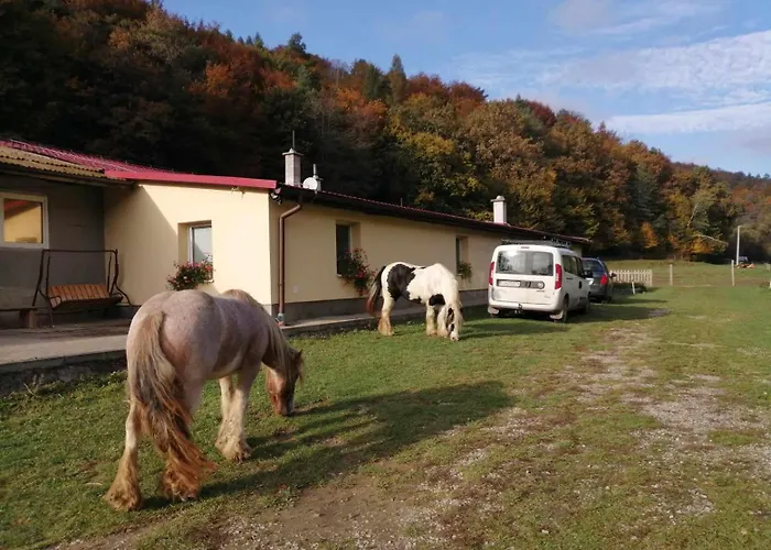 Oddychovy Pobyt Na Rodinnej Farme