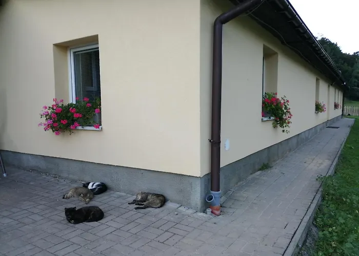 Oddychovy Pobyt Na Rodinnej Farme