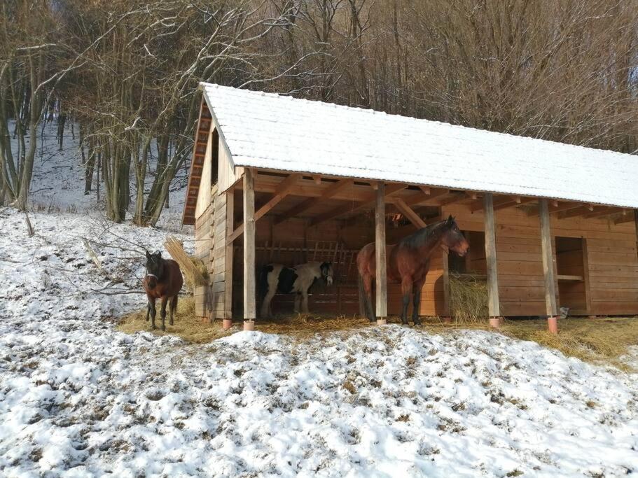 Apartment Oddychovy Na Rodinnej Farme