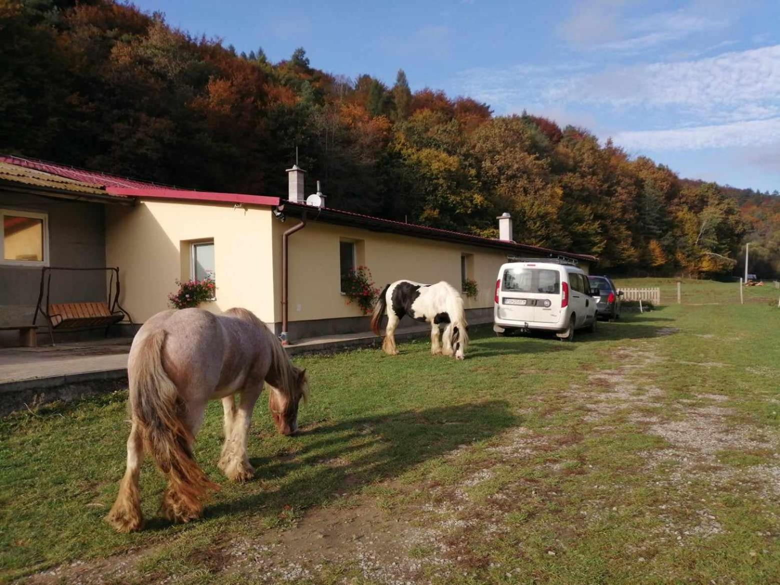 Oddychovy Na Rodinnej Farme *