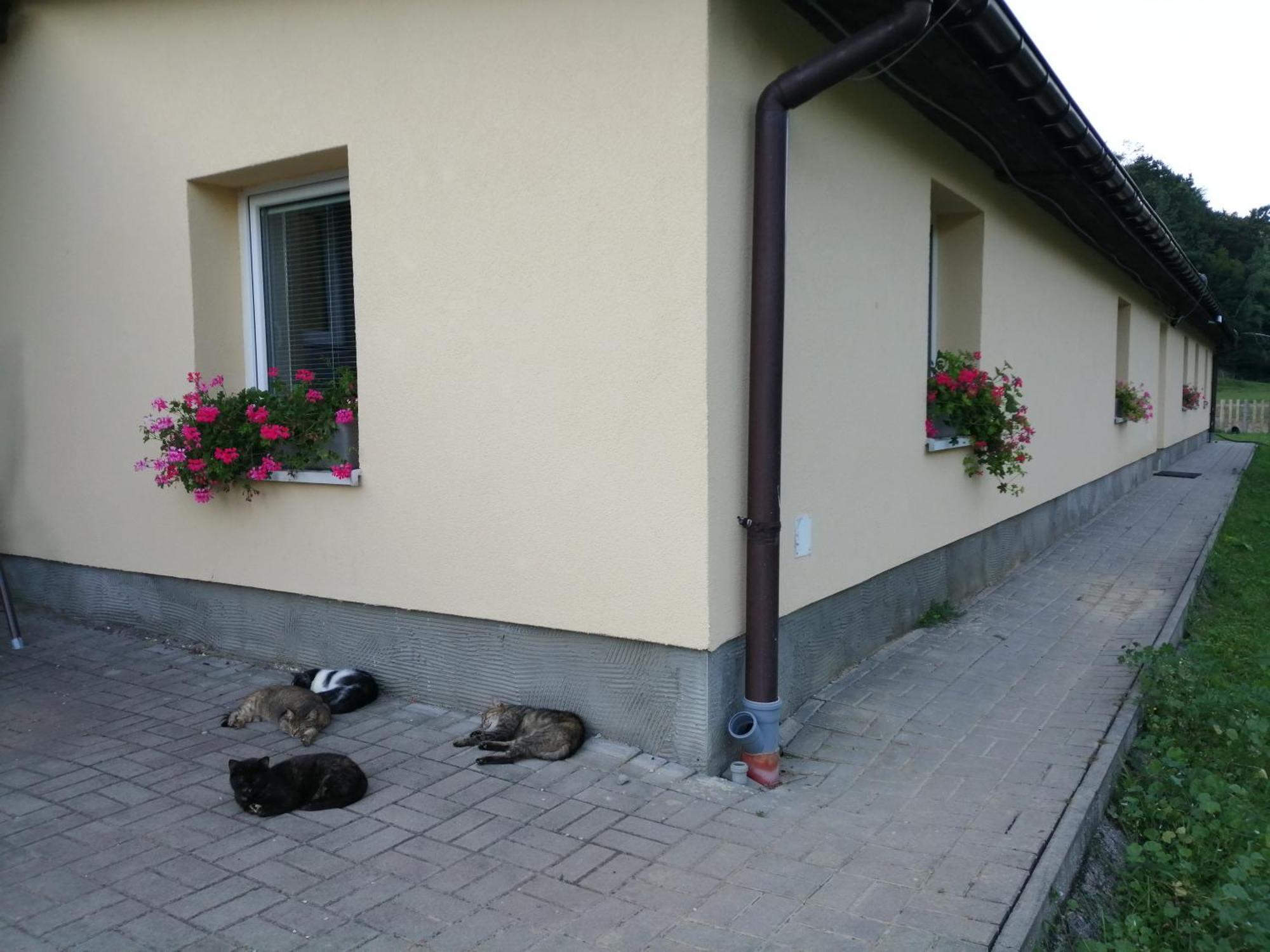 Oddychovy Na Rodinnej Farme Apartment *